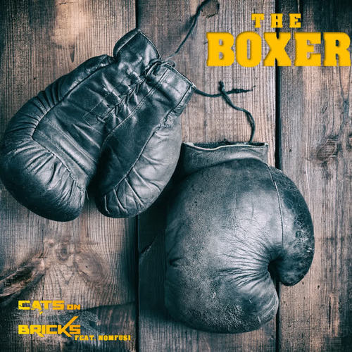 The Boxer