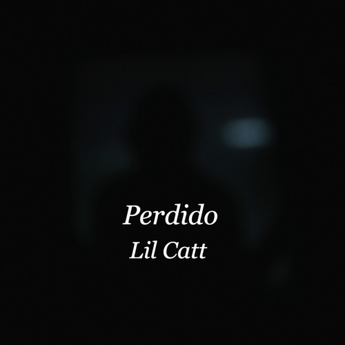 PERDIDO ᐸ/3