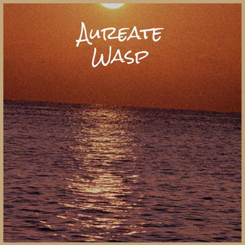 Aureate Wasp