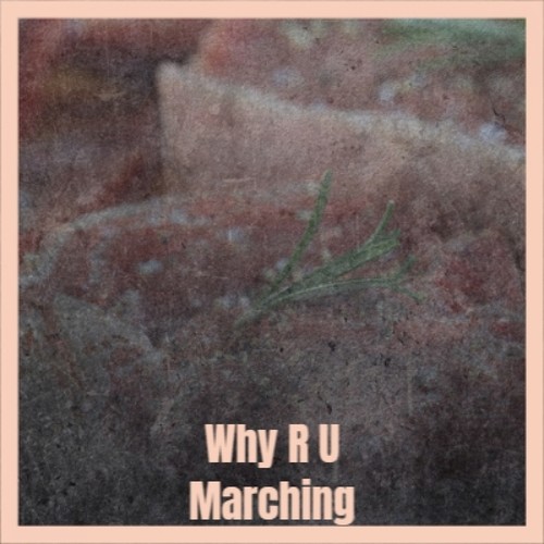 Why R U Marching