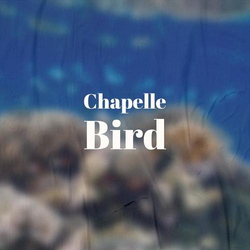 Chapelle Bird