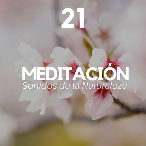 21 Meditación - Música de Fondo para Meditar, Sonidos de la Naturaleza, Música Relajante para Equilibrar los 7 Chakras