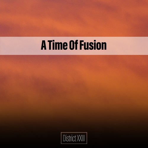 A Time Of Fusion District XXIII