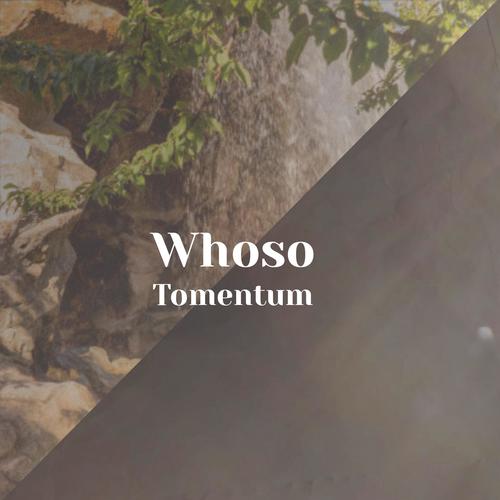 Whoso Tomentum