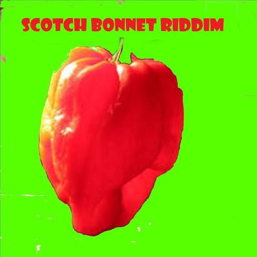 Scotch Bonnet Reddim