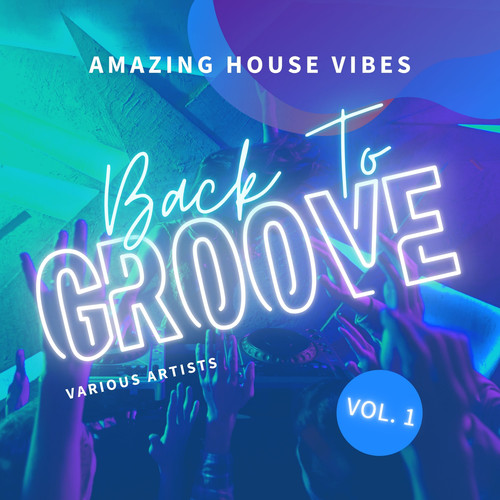 Back To Groove (Amazing House Vibes) , Vol. 1