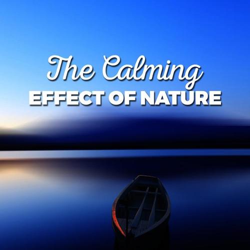 The Calming Effect of Nature