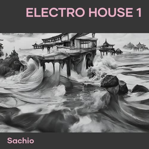 Electro House 1