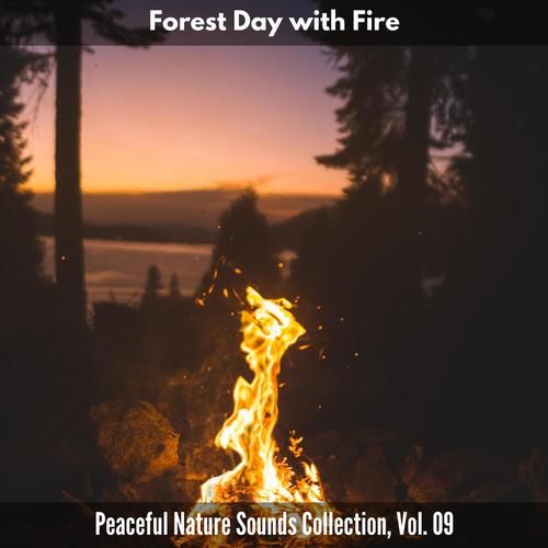 Forest Day with Fire - Peaceful Nature Sounds Collection, Vol. 09