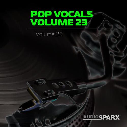 Pop Vocals Volume 23