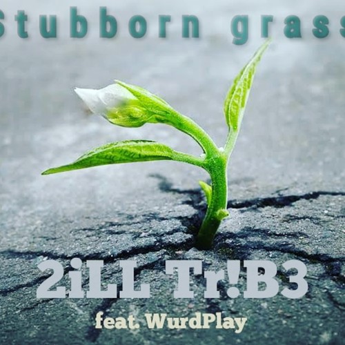 Stubborngrass 2trillbr!b3 (feat. wurdplay) [Explicit]