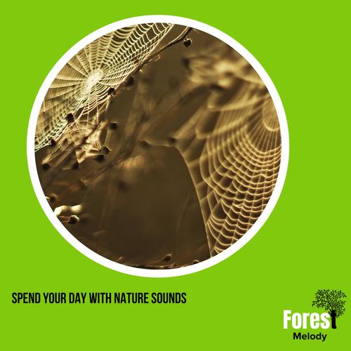 Spend Your Day with Nature Sounds