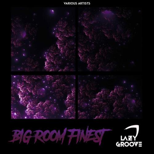 Big Room Finest