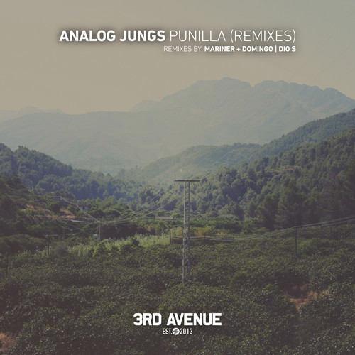 Punilla (Remixes)