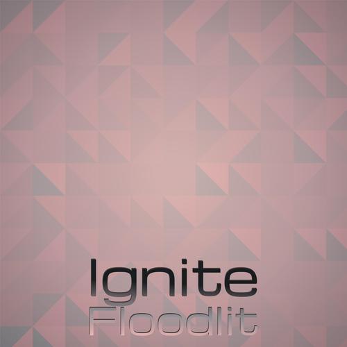 Ignite Floodlit