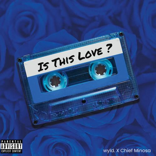 Is This Love (feat. wyld) [Explicit]