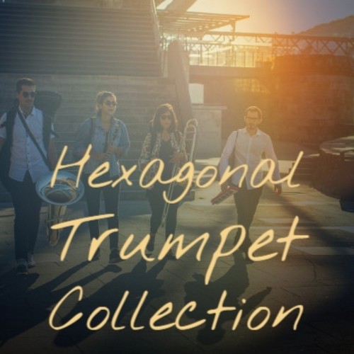 Hexagonal Trumpet Collection