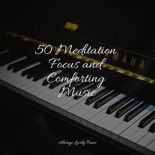 50 Meditation Focus and Comforting Music