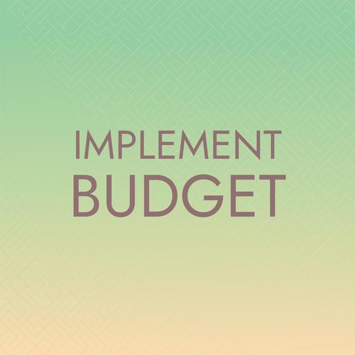 Implement Budget