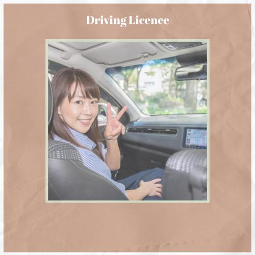 Driving Licence