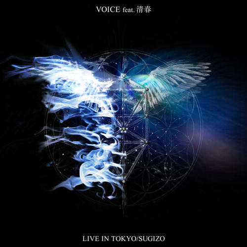 VOICE feat.清春 [from LIVE IN TOKYO]