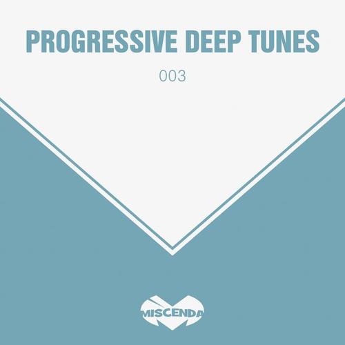 Progressive & Tech House, Vol. 3