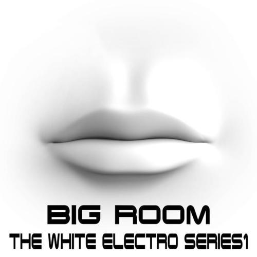 Big Room, The White Electro Series Vol.1