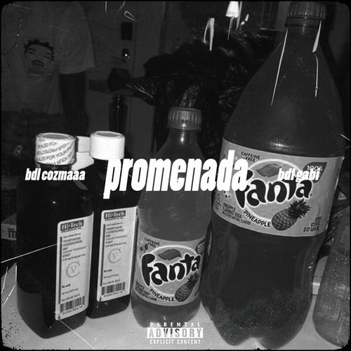 PROMENADA (feat. BDL Cozmaaa) [Explicit]