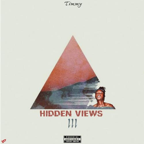 Hidden Views III (Explicit)