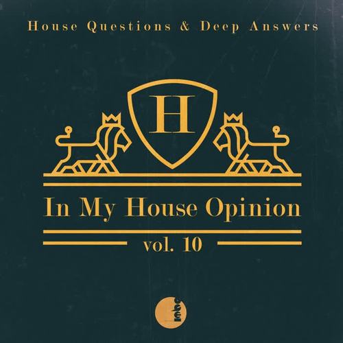 In My House Opinion, Vol. 10 (House Questions & Deep Answers)