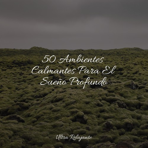 50 Ambientes Calmantes Para El Sueño Profundo