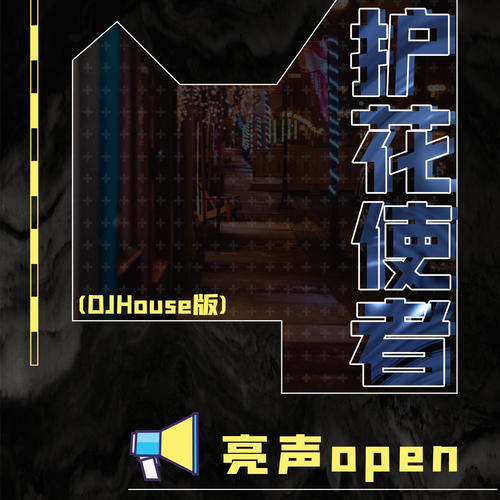 护花使者(DJ House版)