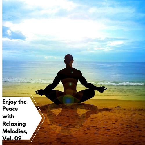 Enjoy The Peace With Relaxing Melodies, Vol. 09