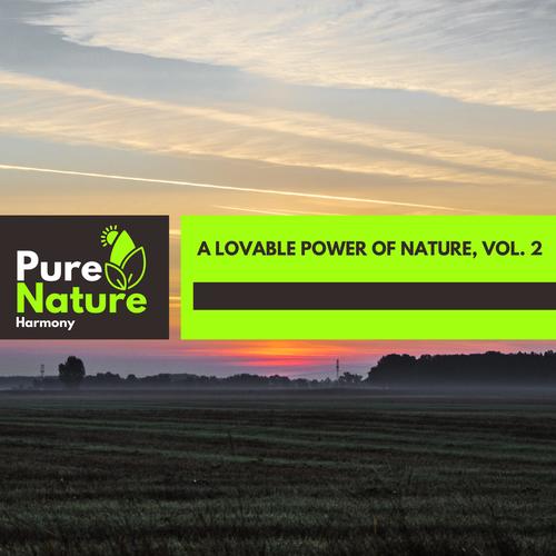 A Lovable Power of Nature, Vol. 2