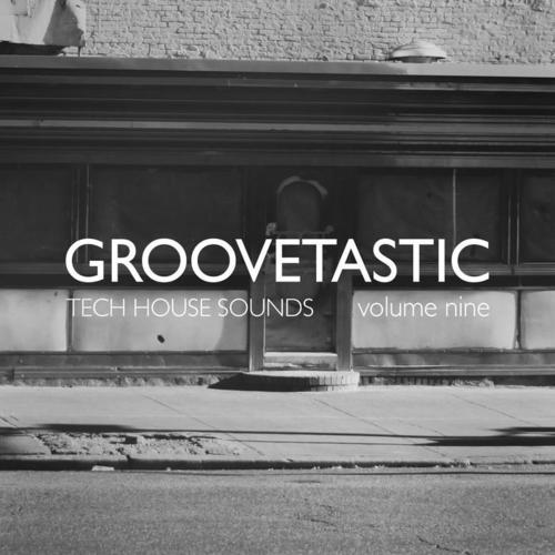 Groovetastic, Vol. 9 - Tech House Sounds