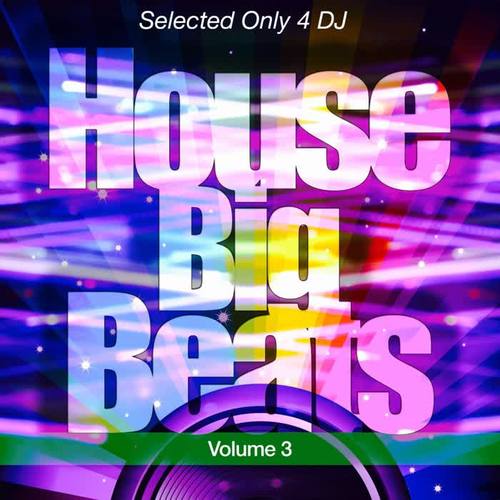 House Big Beats, Vol. 3