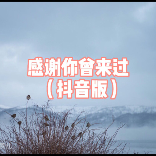 感谢你曾经来过