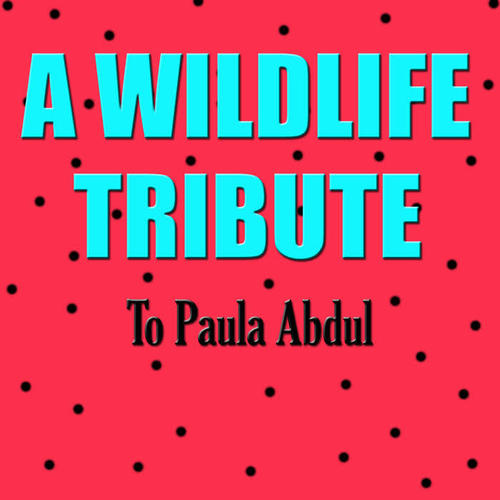 A Wildlife Tribute To Paula Abdul