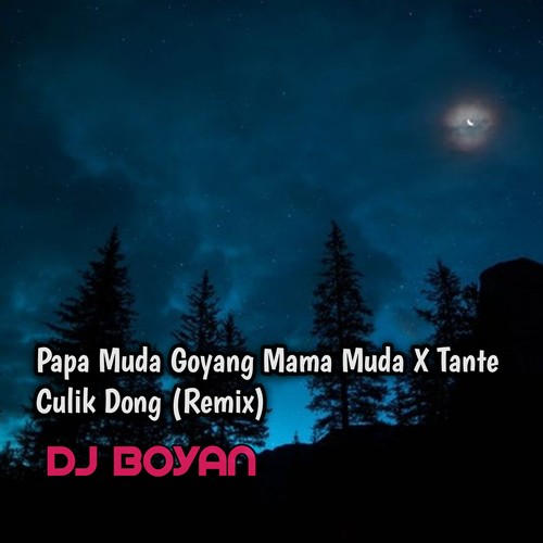 Papa Muda Goyang Mama Muda X Tante Culik Dong (Remix)