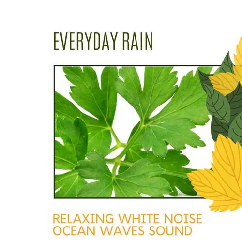 Everyday Rain - Relaxing White Noise Ocean Waves Sound