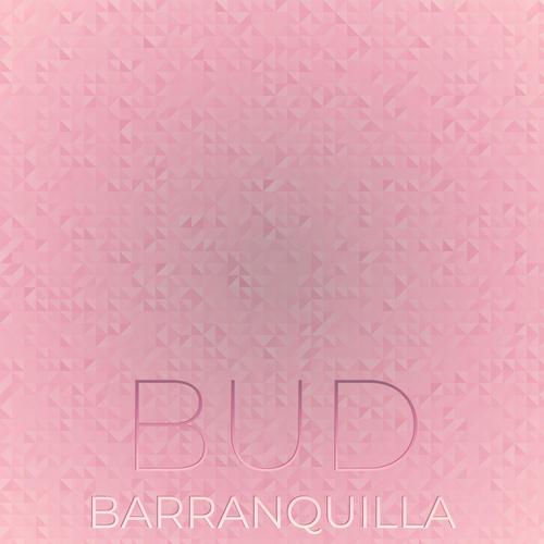 Bud Barranquilla