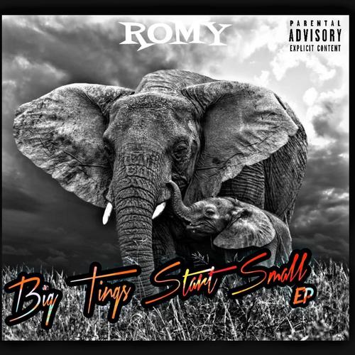 BigTingsStartSmall EP (Explicit)