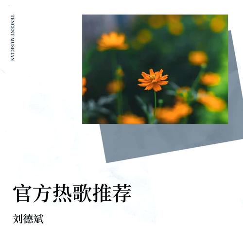 top榜单热歌推荐