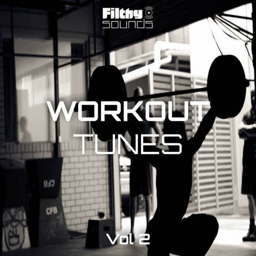 Workout Tunes, Vol. 2