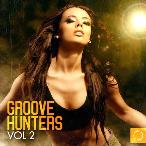 Groove Hunters, Vol. 2