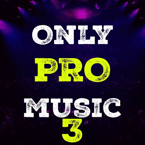 Only Pro Music, Vol. 3