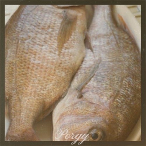 Porgy