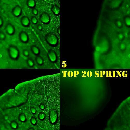 Top 20 Spring, Vol. 5