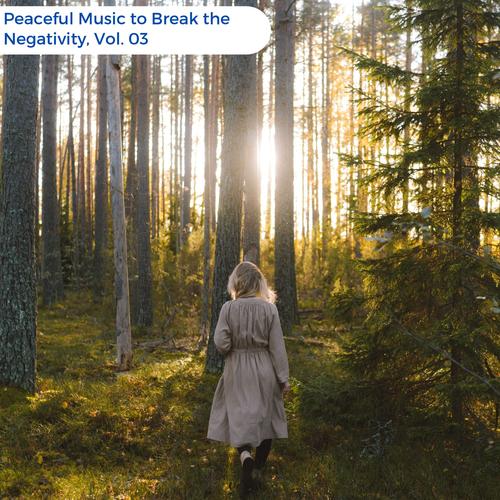 Peaceful Music To Break The Negativity, Vol. 03