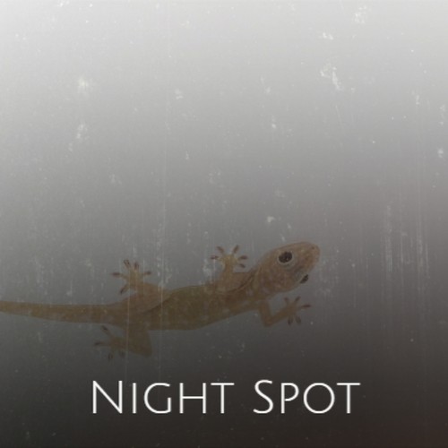 Night Spot